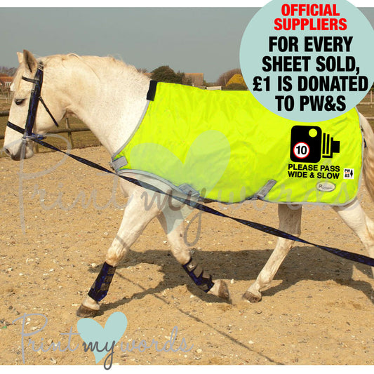 Official PW&S High Visibility Hi Vis Equestrian Horse Reflective Walker/Lunge/Exercise Rug - CAMERA, 10mph, PLEASE PASS WIDE & SLOW