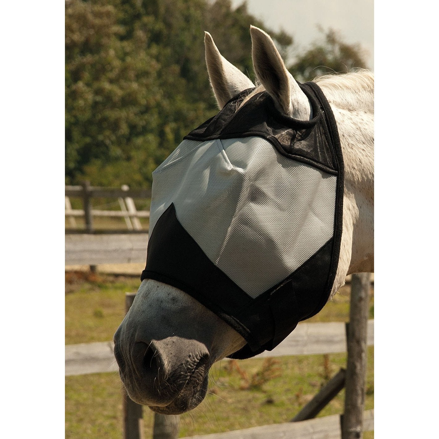 Funny Equestrian Fly Mask - Just Piss Off
