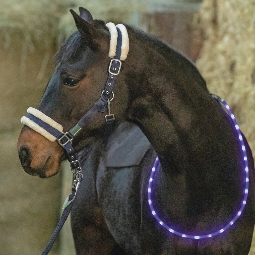 Flashing LED Light-Up Equestrian Horse Neck Collar Rein