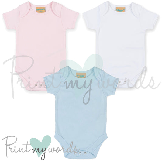 Rainbow Baby Pregnancy Announcement Vest
