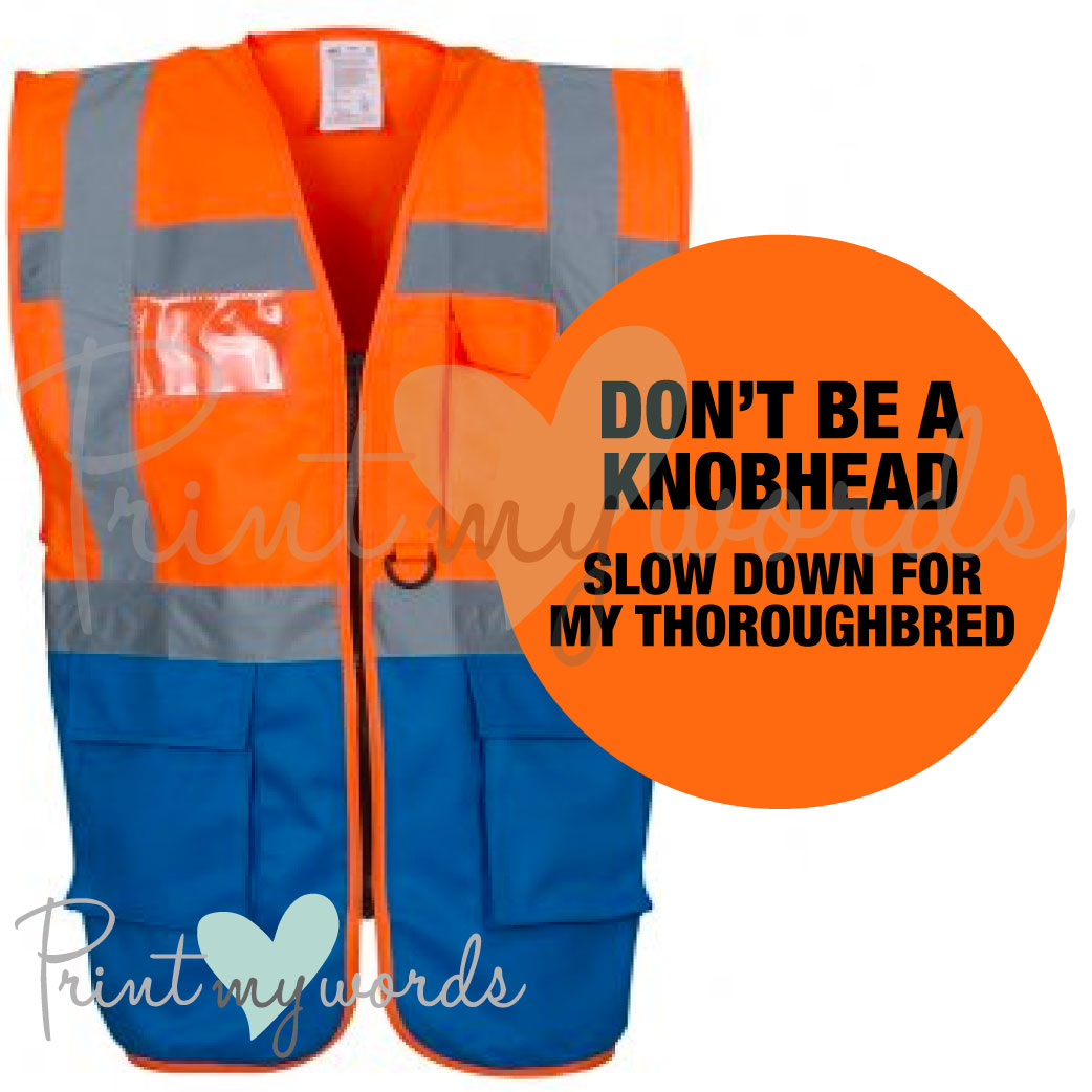 High Visibility Hi Vis Equestrian Reflective Vest Tabard Waistcoat SLOW DOWN FOR MY THOROUGHBRED