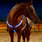 LED High Visibility Breastplate Lights