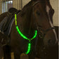LED High Visibility Breastplate Lights