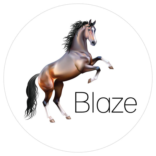 Personalised Equestrian Horse Rear Stickers - Pack of 10.