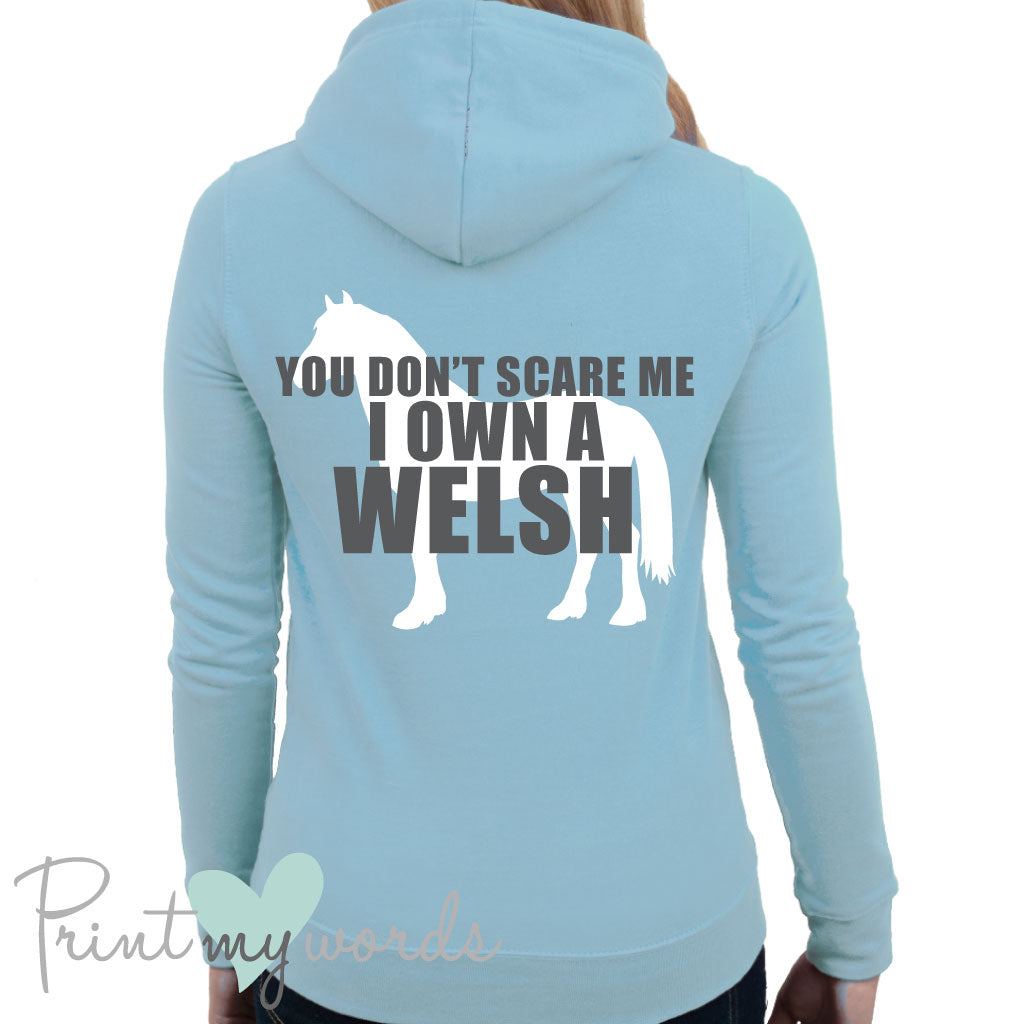 I Own A Welsh Funny Equestrian Hoodie