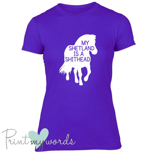 My Shetland Is A Shithead Funny Equestrian T-shirt