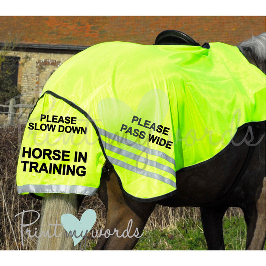 High Visibility Hi Vis Equestrian Horse Reflective 3/4 Length Cutaway Ride-On Rug - In Training
