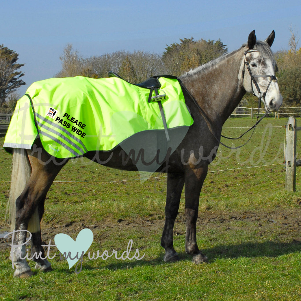 Official PW&S High Visibility Hi Vis Equestrian Horse Reflective 3/4 Length Cutaway Ride-On Rug - CAMERA, 10mph, PLEASE PASS WIDE & SLOW