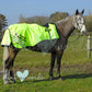 Official PW&S REFLECTIVE PRINT High Visibility Hi Vis Equestrian Horse Reflective 3/4 Length Cutaway Ride-On Rug - CAMERA, 10mph, PLEASE PASS WIDE & SLOW