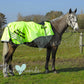 High Visibility Hi Vis Equestrian Horse Reflective 3/4 Length Cutaway Ride-On Rug - SLOW DOWN YOU'RE ON CAMERA